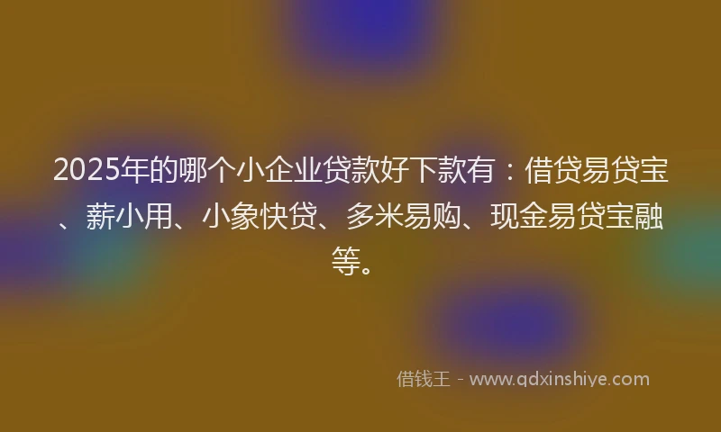 2025年的哪个小企业贷款好下款有：借贷易贷宝、薪小用、小象快贷、多米易购、现金易贷宝融等。