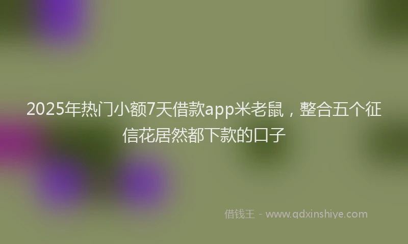 2025年热门小额7天借款app米老鼠，整合五个征信花居然都下款的口子