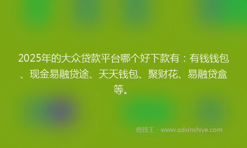 2025年的大众贷款平台哪个好下款有：有钱钱包、现金易融贷途、天天钱包、聚财花、易融贷盒等。