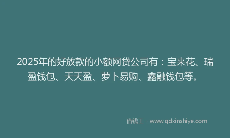 2025年的好放款的小额网贷公司有：宝来花、瑞盈钱包、天天盈、萝卜易购、鑫融钱包等。