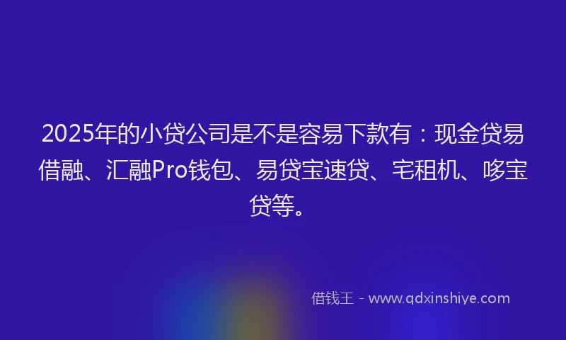 2025年的小贷公司是不是容易下款有：现金贷易借融、汇融Pro钱包、易贷宝速贷、宅租机、哆宝贷等。