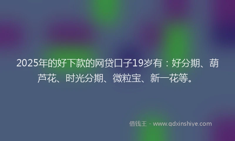2025年的好下款的网贷口子19岁有：好分期、葫芦花、时光分期、微粒宝、新一花等。