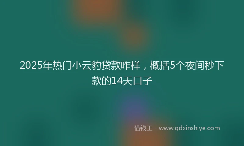2025年热门小云豹贷款咋样，概括5个夜间秒下款的14天口子