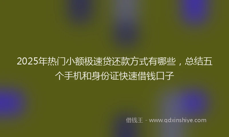 2025年热门小额极速贷还款方式有哪些,总结五个手机和身份证快速借钱口子