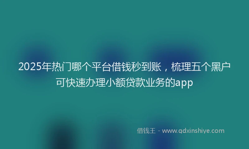 2025年热门哪个平台借钱秒到账，梳理五个黑户可快速办理小额贷款业务的app