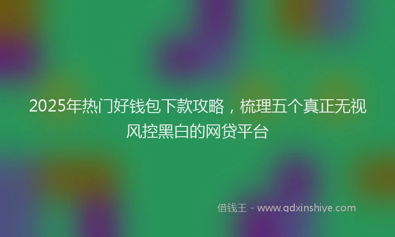 2025年热门好钱包下款攻略，梳理五个真正无视风控黑白的网贷平台