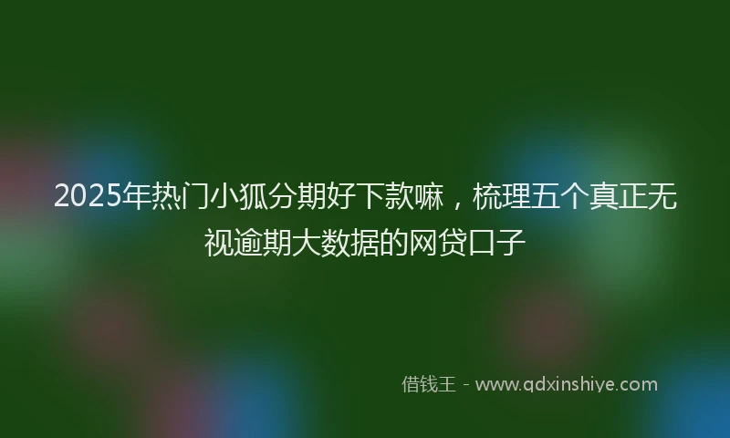 2025年热门小狐分期好下款嘛，梳理五个真正无视逾期大数据的网贷口子