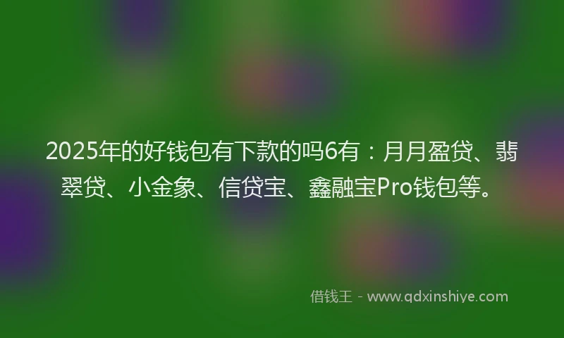 2025年的好钱包有下款的吗6有：月月盈贷、翡翠贷、小金象、信贷宝、鑫融宝Pro钱包等。