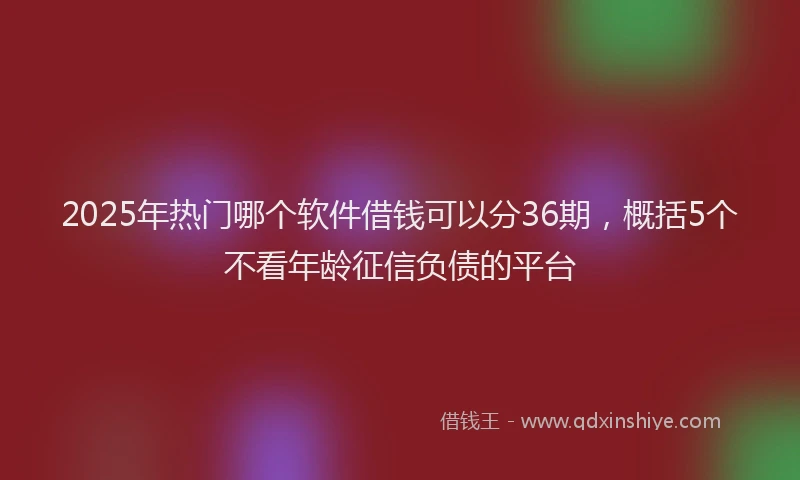 2025年热门哪个软件借钱可以分36期，概括5个不看年龄征信负债的平台