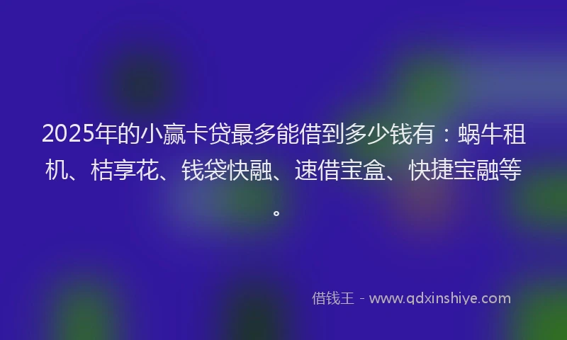 2025年的小赢卡贷最多能借到多少钱有：蜗牛租机、桔享花、钱袋快融、速借宝盒、快捷宝融等。
