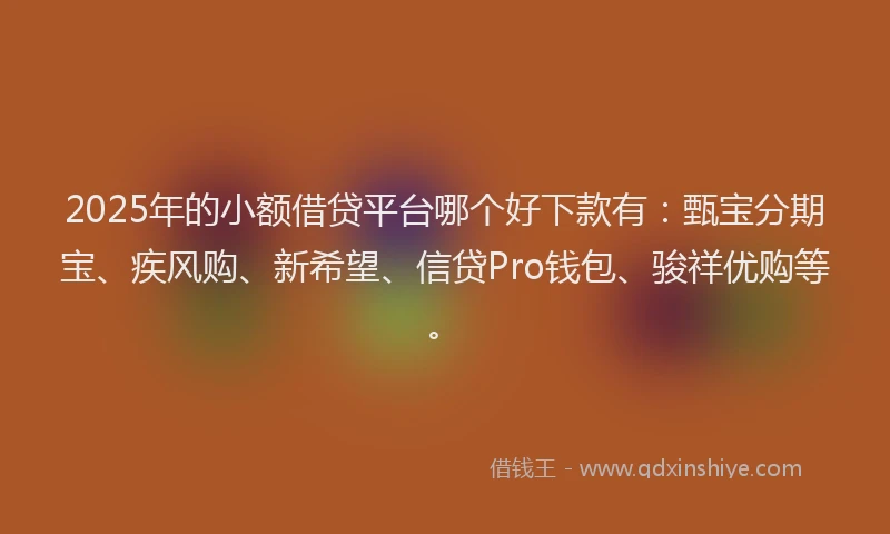 2025年的小额借贷平台哪个好下款有：甄宝分期宝、疾风购、新希望、信贷Pro钱包、骏祥优购等。
