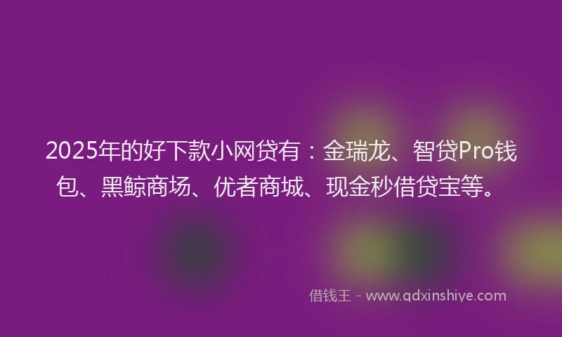 2025年的好下款小网贷有：金瑞龙、智贷Pro钱包、黑鲸商场、优者商城、现金秒借贷宝等。