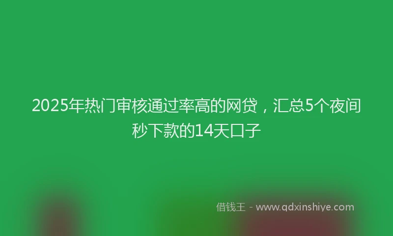 2025年热门审核通过率高的网贷，汇总5个夜间秒下款的14天口子