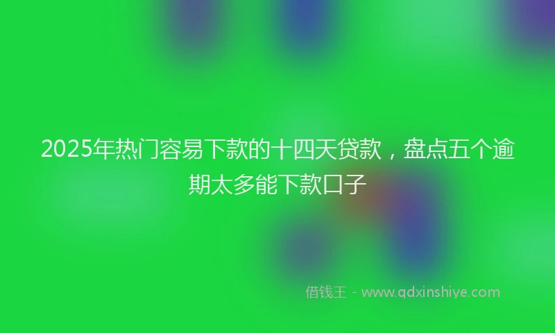 2025年热门容易下款的十四天贷款，盘点五个逾期太多能下款口子