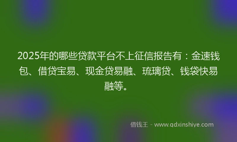 2025年的哪些贷款平台不上征信报告有：金速钱包、借贷宝易、现金贷易融、琉璃贷、钱袋快易融等。
