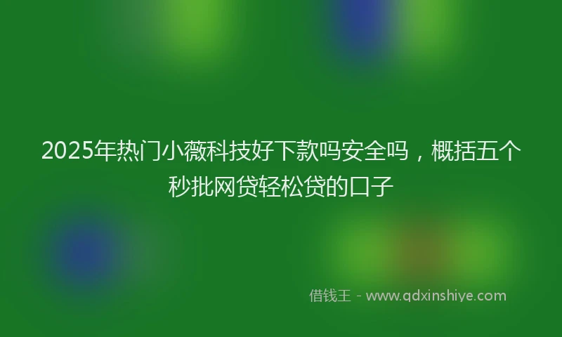 2025年热门小薇科技好下款吗安全吗，概括五个秒批网贷轻松贷的口子