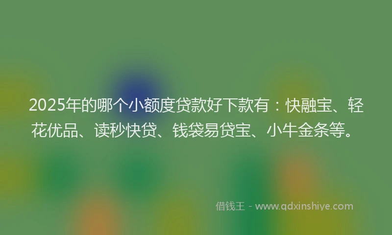 2025年的哪个小额度贷款好下款有：快融宝、轻花优品、读秒快贷、钱袋易贷宝、小牛金条等。