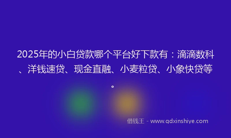 2025年的小白贷款哪个平台好下款有:滴滴数科、洋钱速贷、现金直融、小麦粒贷、小象快贷等。