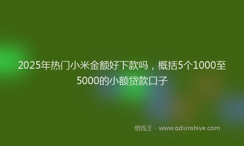 2025年热门小米金额好下款吗，概括5个1000至5000的小额贷款口子