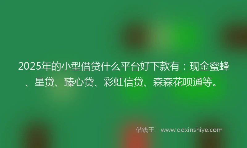 2025年的小型借贷什么平台好下款有：现金蜜蜂、星贷、臻心贷、彩虹信贷、森森花呗通等。