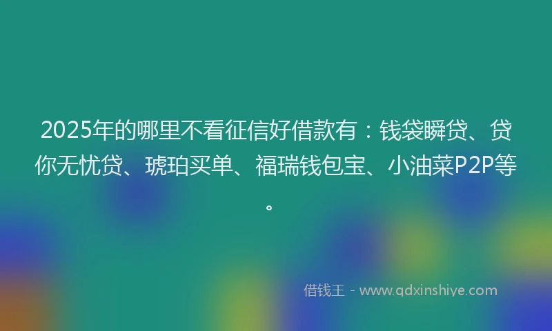2025年的哪里不看征信好借款有：钱袋瞬贷、贷你无忧贷、琥珀买单、福瑞钱包宝、小油菜P2P等。