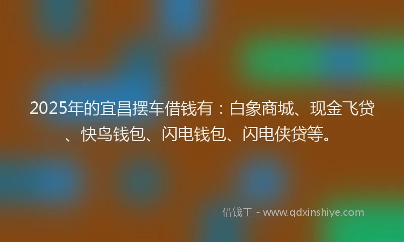 2025年的宜昌摆车借钱有：白象商城、现金飞贷、快鸟钱包、闪电钱包、闪电侠贷等。