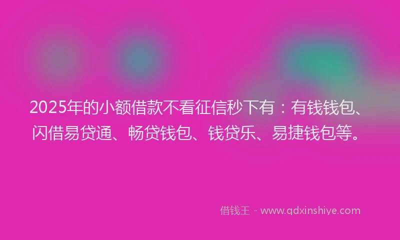 2025年的小额借款不看征信秒下有：有钱钱包、闪借易贷通、畅贷钱包、钱贷乐、易捷钱包等。