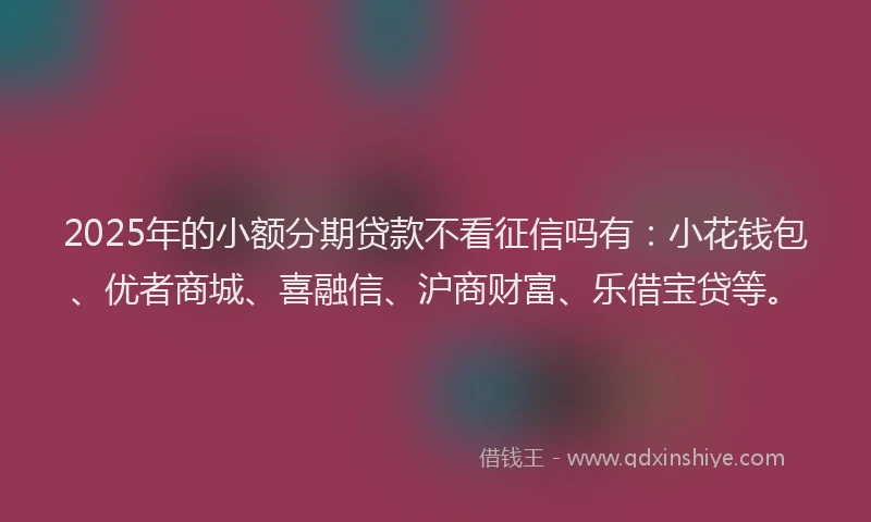 2025年的小额分期贷款不看征信吗有：小花钱包、优者商城、喜融信、沪商财富、乐借宝贷等。