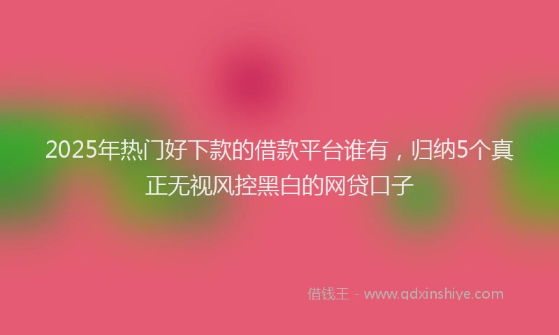 2025年热门好下款的借款平台谁有，归纳5个真正无视风控黑白的网贷口子