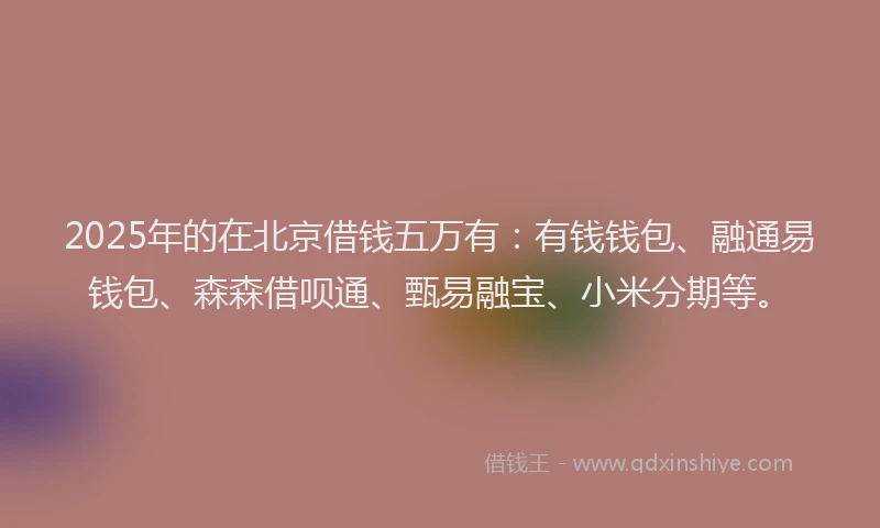 2025年的在北京借钱五万有：有钱钱包、融通易钱包、森森借呗通、甄易融宝、小米分期等。