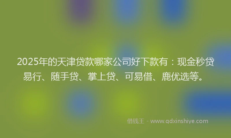 2025年的天津贷款哪家公司好下款有：现金秒贷易行、随手贷、掌上贷、可易借、鹿优选等。