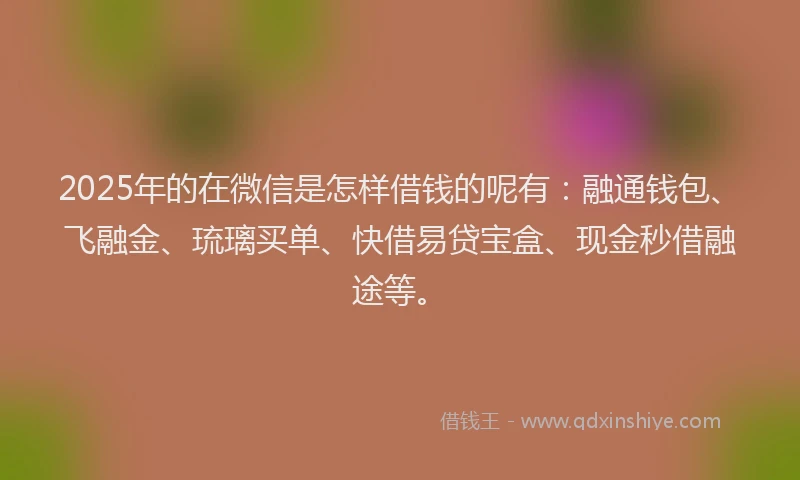 2025年的在微信是怎样借钱的呢有：融通钱包、飞融金、琉璃买单、快借易贷宝盒、现金秒借融途等。