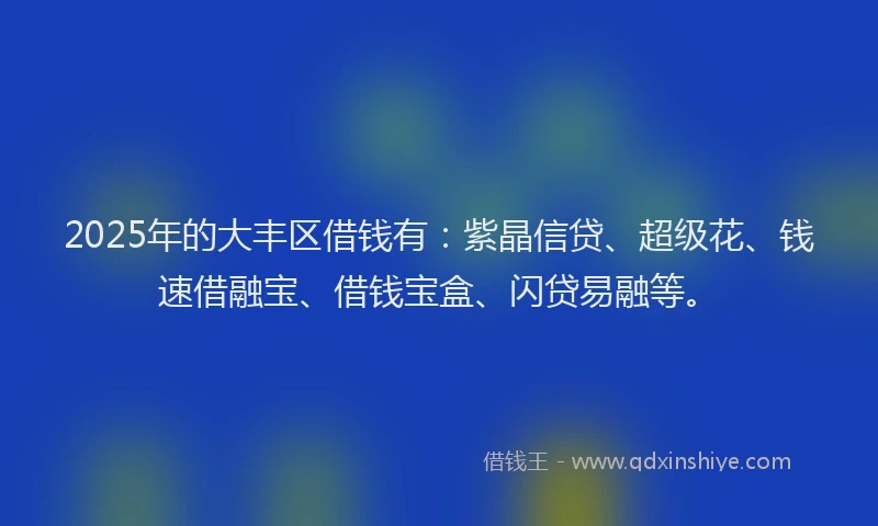 2025年的大丰区借钱有：紫晶信贷、超级花、钱速借融宝、借钱宝盒、闪贷易融等。