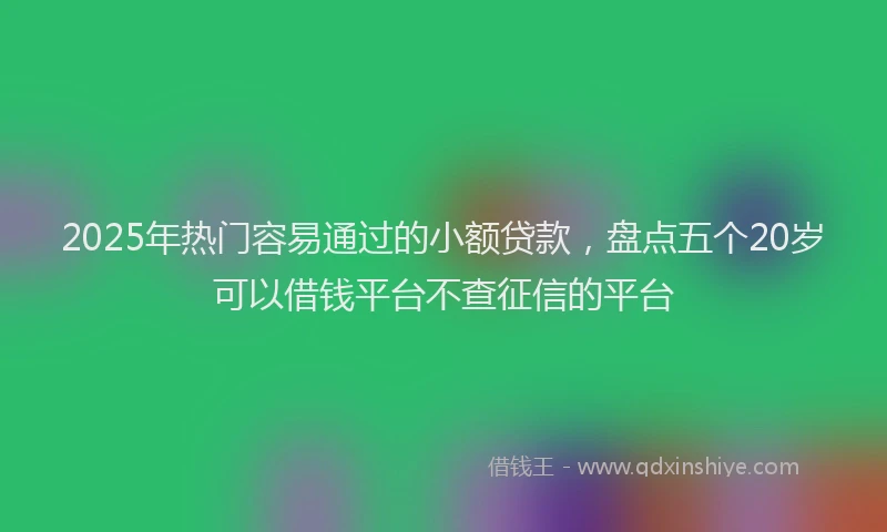 2025年热门容易通过的小额贷款，盘点五个20岁可以借钱平台不查征信的平台