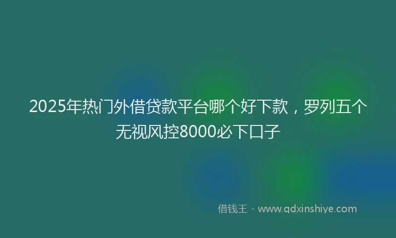 2025年热门外借贷款平台哪个好下款，罗列五个无视风控8000必下口子