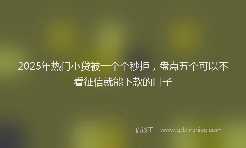 2025年热门小贷被一个个秒拒，盘点五个可以不看征信就能下款的口子