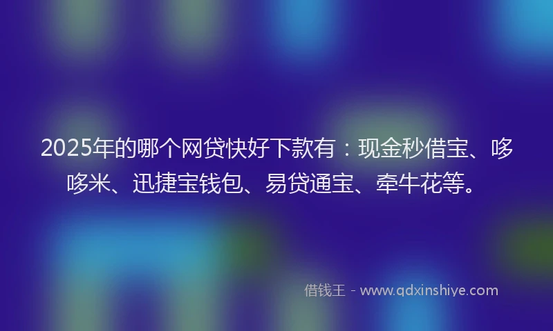 2025年的哪个网贷快好下款有：现金秒借宝、哆哆米、迅捷宝钱包、易贷通宝、牵牛花等。