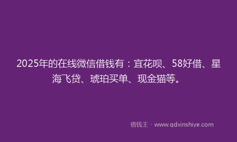 2025年的在线微信借钱有：宜花呗、58好借、星海飞贷、琥珀买单、现金猫等。