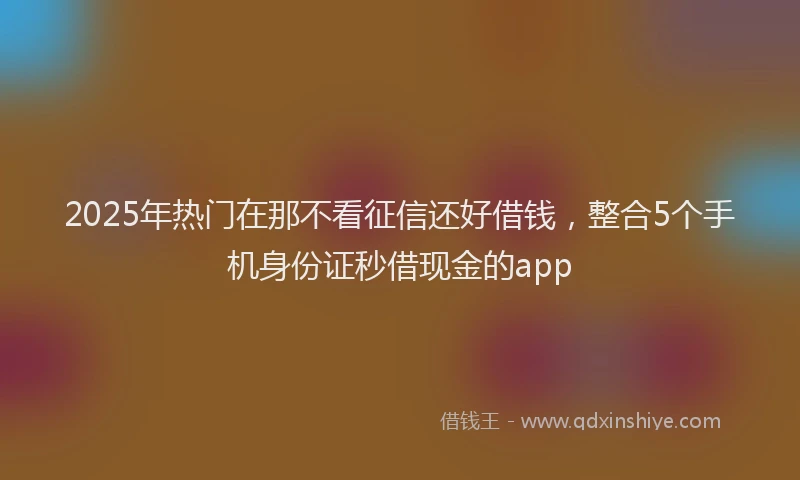 2025年热门在那不看征信还好借钱，整合5个手机身份证秒借现金的app