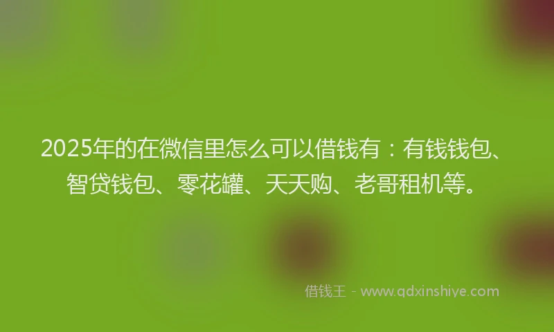 2025年的在微信里怎么可以借钱有：有钱钱包、智贷钱包、零花罐、天天购、老哥租机等。