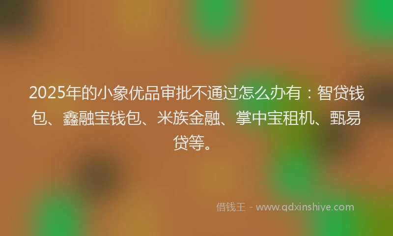 2025年的小象优品审批不通过怎么办有：智贷钱包、鑫融宝钱包、米族金融、掌中宝租机、甄易贷等。