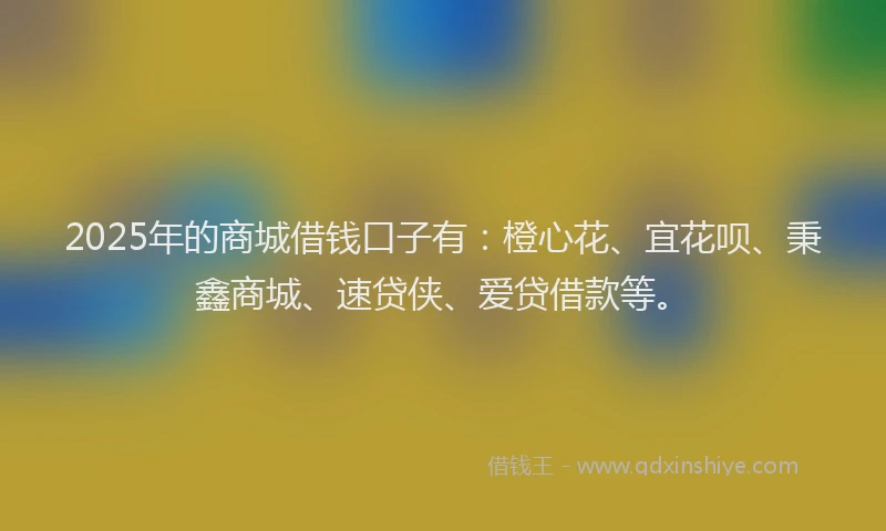 2025年的商城借钱口子有：橙心花、宜花呗、秉鑫商城、速贷侠、爱贷借款等。