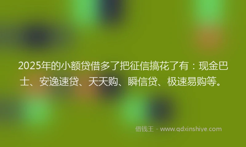 2025年的小额贷借多了把征信搞花了有：现金巴士、安逸速贷、天天购、瞬信贷、极速易购等。