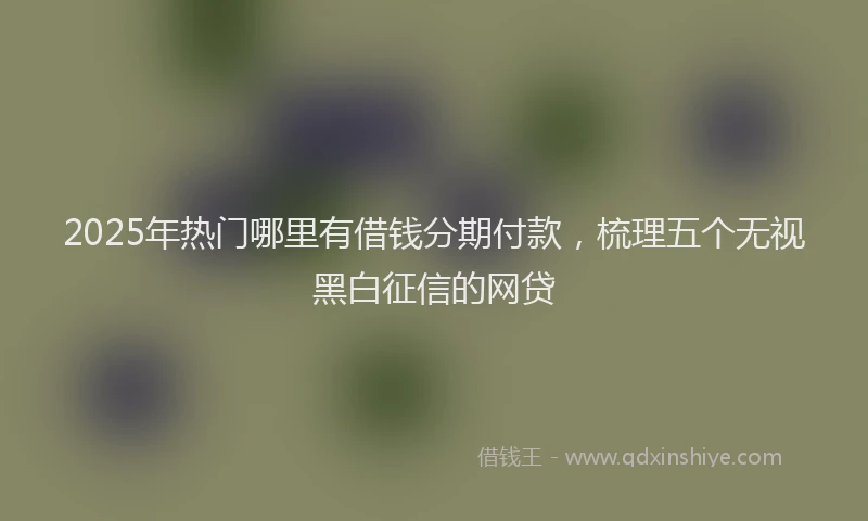 2025年热门哪里有借钱分期付款，梳理五个无视黑白征信的网贷