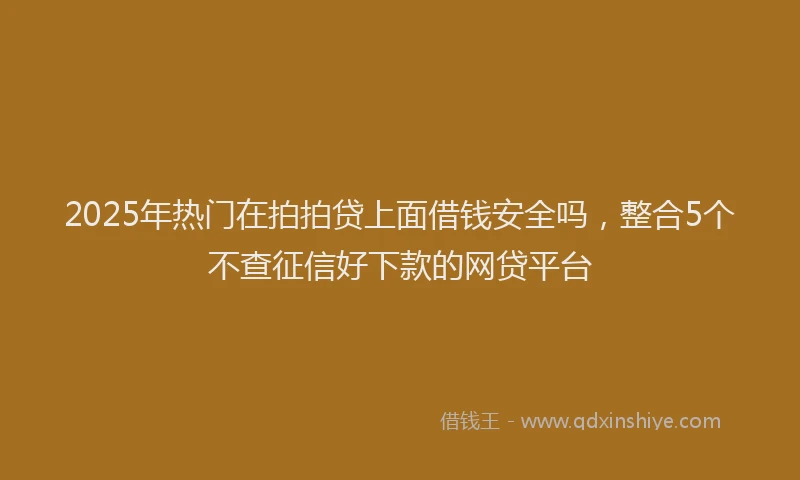 2025年热门在拍拍贷上面借钱安全吗，整合5个不查征信好下款的网贷平台