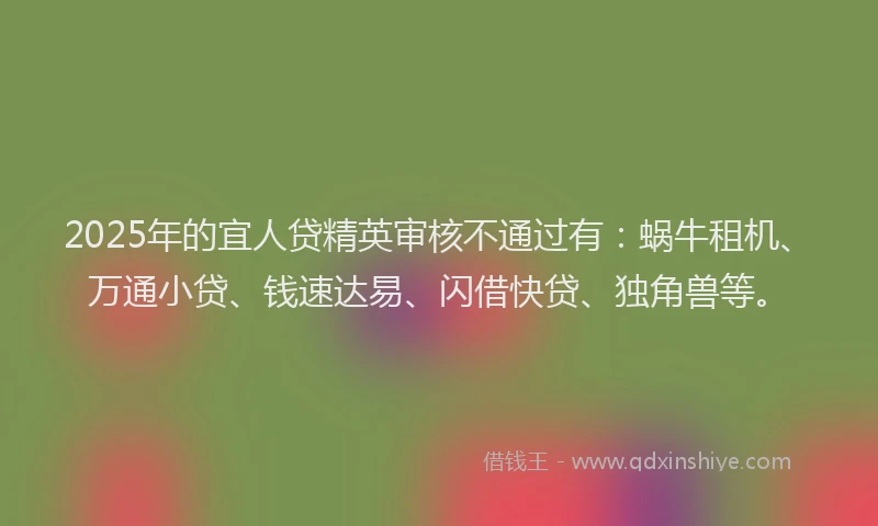 2025年的宜人贷精英审核不通过有：蜗牛租机、万通小贷、钱速达易、闪借快贷、独角兽等。