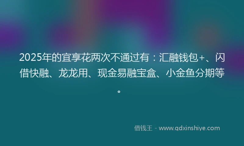 2025年的宜享花两次不通过有：汇融钱包+、闪借快融、龙龙用、现金易融宝盒、小金鱼分期等。