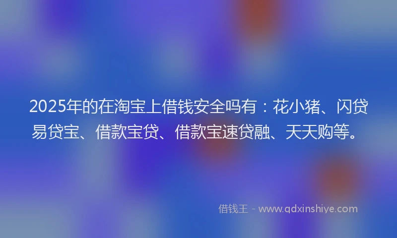2025年的在淘宝上借钱安全吗有：花小猪、闪贷易贷宝、借款宝贷、借款宝速贷融、天天购等。