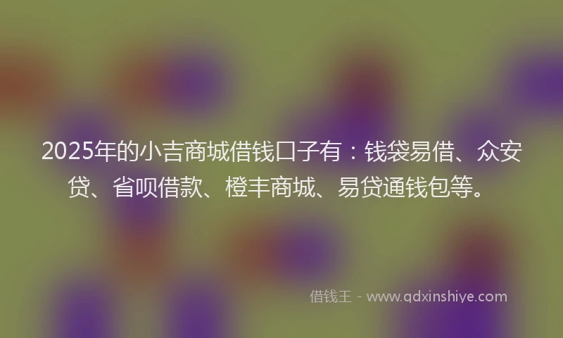 2025年的小吉商城借钱口子有：钱袋易借、众安贷、省呗借款、橙丰商城、易贷通钱包等。
