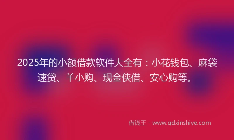 2025年的小额借款软件大全有：小花钱包、麻袋速贷、羊小购、现金侠借、安心购等。